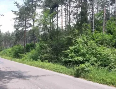 Парцел, Център Юг, София - снимка 5 от 13