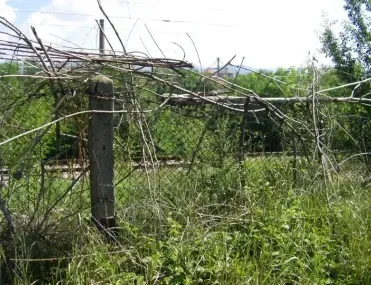 Парцел, с. Яна, София - снимка 11 от 12