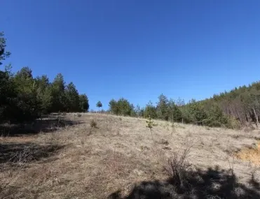Парцел, Разлог, Югозападна България