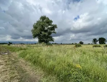 Парцел, с. Бусманци, София - снимка 5 от 6