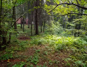 Парцел, Самоков, Югозападна България - снимка 3 от 6