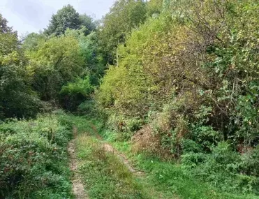 Парцел, Габрово, Северна България - снимка 3 от 6