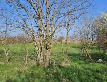 Парцел, Покрайнини, Русе - снимка 4 от 8