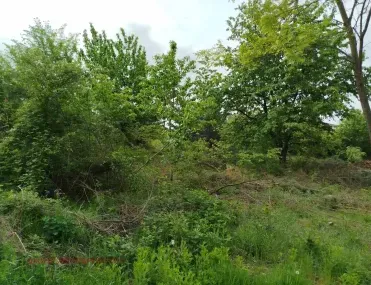 Парцел, гр. Нови Искър, София - снимка 2 от 4
