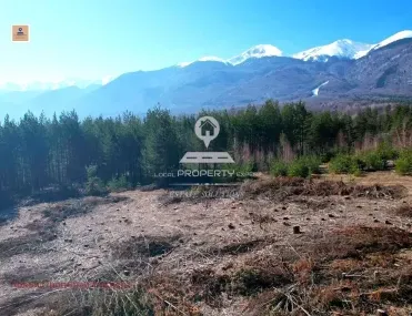 Парцел, Разлог, Югозападна България - снимка 8 от 12