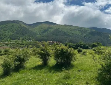 Парцел, Кюстендил, Югозападна България - снимка 4 от 7