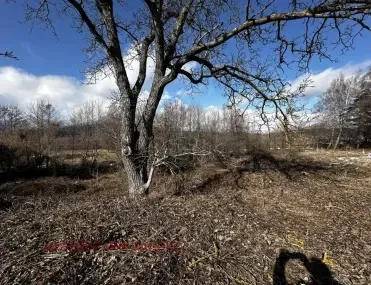 Парцел, Разлог, Югозападна България - снимка 12 от 15