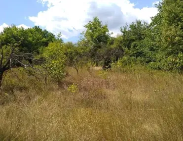Парцел, Габрово, Северна България - снимка 4 от 7