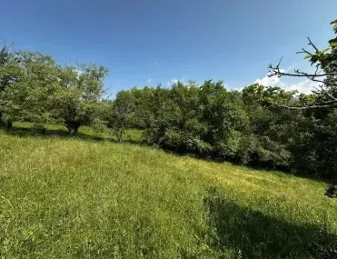 Парцел, Разлог, Югозападна България