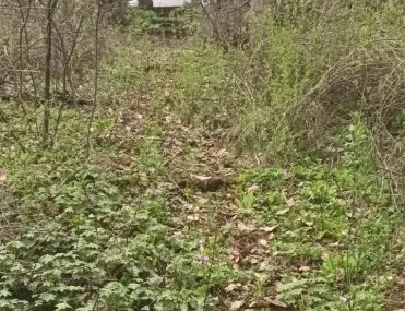 Парцел, гр. Банкя, София - снимка 7 от 16