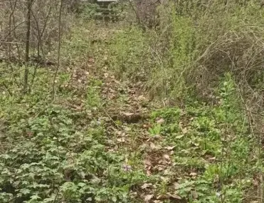 Парцел, гр. Банкя, София - снимка 10 от 16