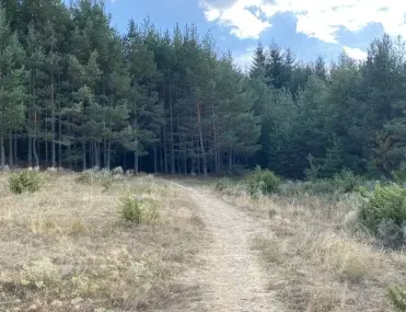 Парцел, Банско, Югозападна България - снимка 6 от 17