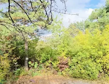 Парцел, с. Панчарево, София