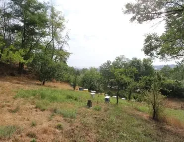 Парцел, Разлог, Югозападна България - снимка 11 от 15