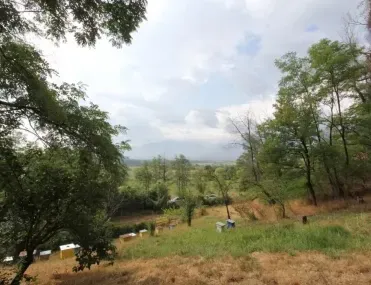 Парцел, Разлог, Югозападна България - снимка 12 от 15