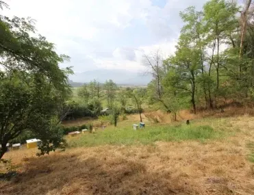 Парцел, Разлог, Югозападна България - снимка 13 от 15