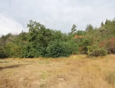 Парцел, Разлог, Югозападна България - снимка 3 от 15