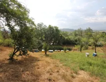 Парцел, Разлог, Югозападна България - снимка 14 от 15