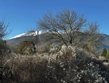 Парцел, Банско, Югозападна България - снимка 3 от 17