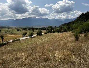 Парцел, Разлог, Югозападна България - снимка 6 от 18
