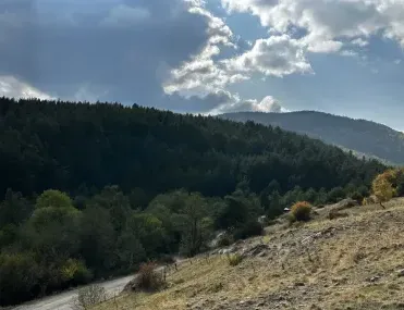 Парцел, Разлог, Югозападна България - снимка 10 от 18