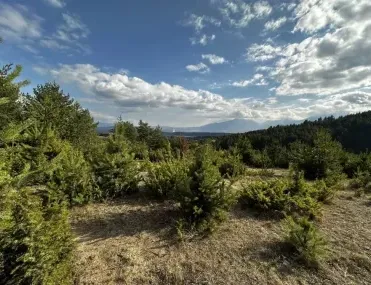 Парцел, Разлог, Югозападна България - снимка 16 от 18