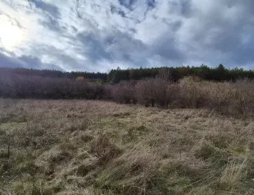 Парцел, с. Войнеговци, София