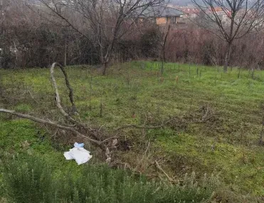 Парцел, Кърджали, Южна България - снимка 4 от 8