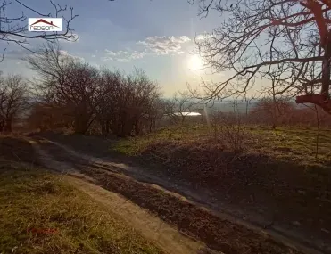 Парцел, Аврен, Североизточна България - снимка 4 от 6
