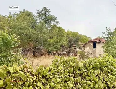 Парцел, Козлодуй, Северозападна България - снимка 2 от 10