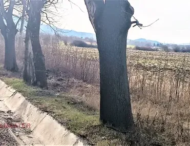 Парцел, гр. Банкя, София