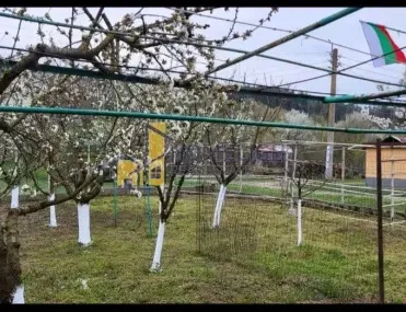 Парцел, Червен Бряг, Северозападна България - снимка 11 от 13