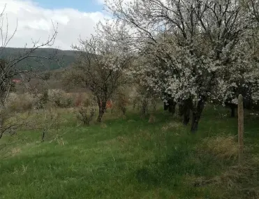 Парцел, Костинброд, Югозападна България