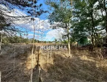 Парцел, Генерал Тошево, Североизточна България