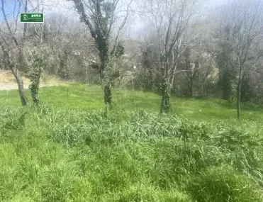 Парцел, всички, Стара Загора