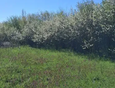 Парцел, Божурище, Югозападна България