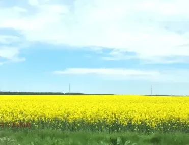 Парцел, Пазарджик, Южна България