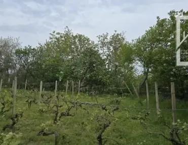 Парцел, Атанас Тарла, Варна