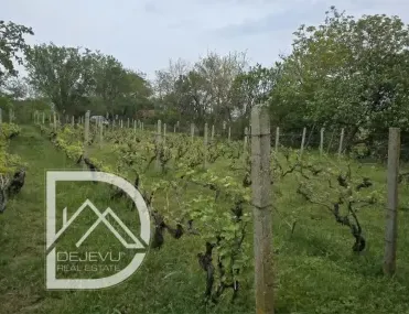 Парцел, Атанас Тарла, Варна - снимка 8 от 9