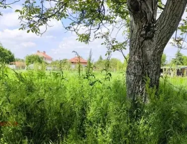 Парцел, Нови Пазар, Североизточна България - снимка 2 от 5