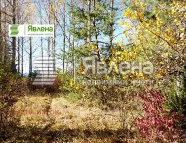 Парцел, всички, София - снимка 9 от 10