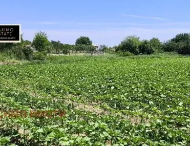 Парцел, Чирпан, Югоизточна България - снимка 3 от 8