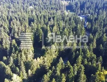 Парцел, Самоков, Югозападна България - снимка 3 от 13