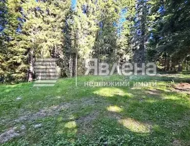 Парцел, Самоков, Югозападна България - снимка 4 от 13