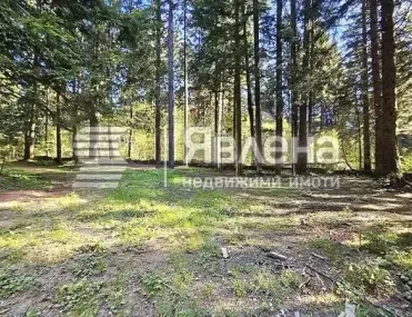 Парцел, Самоков, Югозападна България - снимка 6 от 13