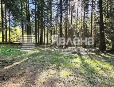 Парцел, Самоков, Югозападна България - снимка 10 от 13