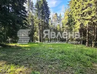 Парцел, Самоков, Югозападна България - снимка 11 от 13