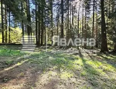 Парцел, Самоков, Югозападна България - снимка 8 от 13
