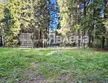 Парцел, Самоков, Югозападна България - снимка 12 от 13