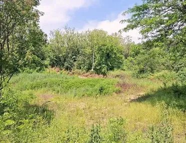 Парцел, Сотира, Варна